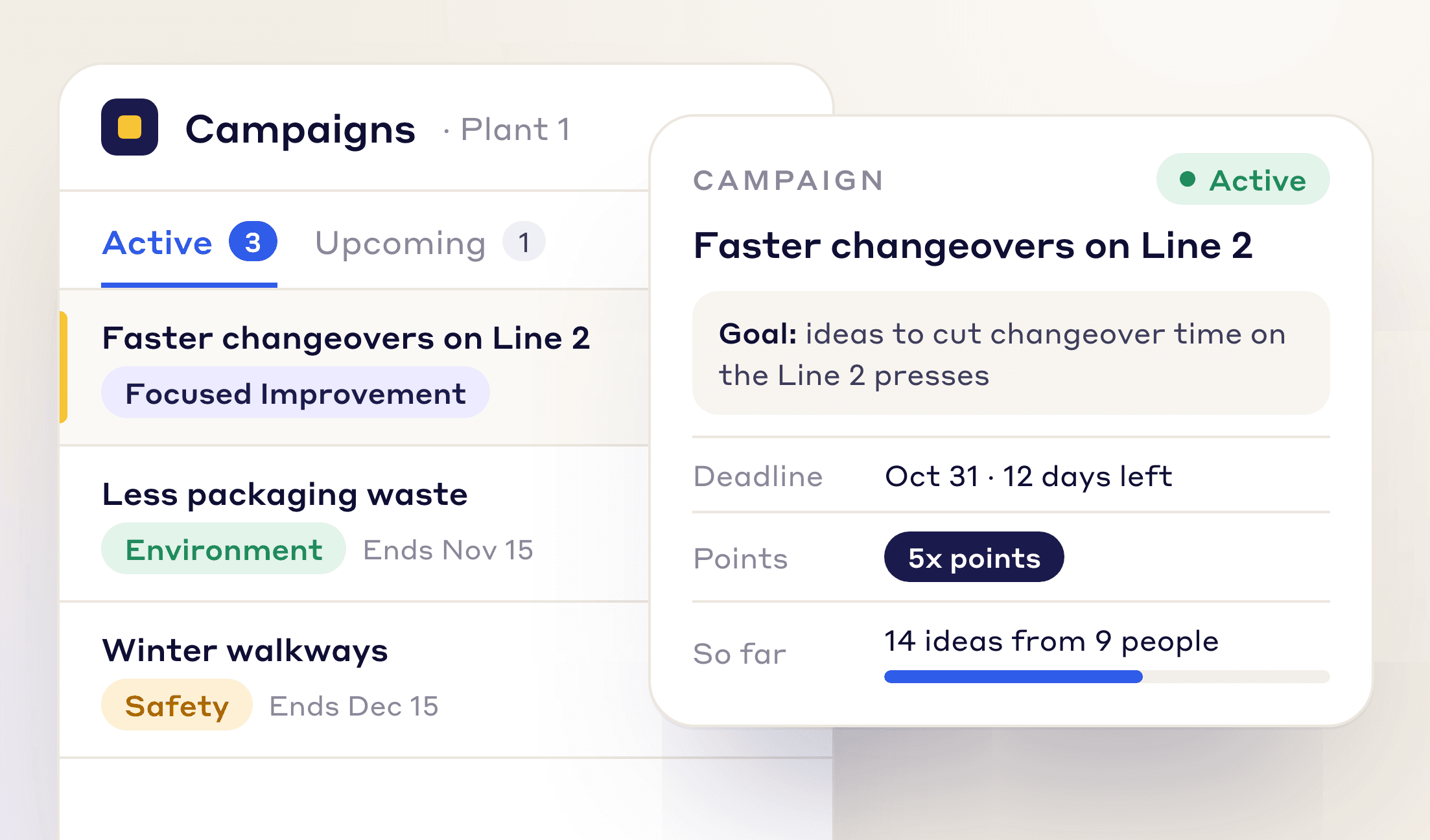 Launch focused campaigns